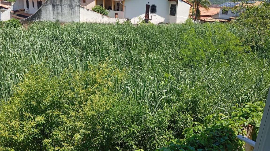 Terreno à venda com 1440m² de terreno no Piratininga, Niterói (RJ) — foto 5 de 6