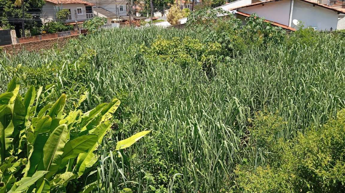 Terreno à venda com 1440m² de terreno no Piratininga, Niterói (RJ) — foto 6 de 6